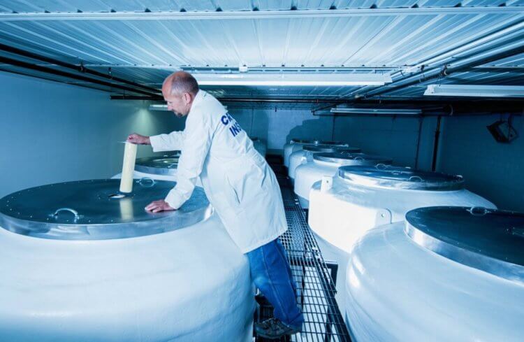 50 il sonra oyanmaq üçün özünü donduran alim: Kriogenik möcüzə mümkündürmü?