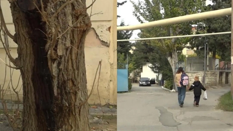 6-cı mikrorayon sakinlərini bezdirən problem (VİDEO)