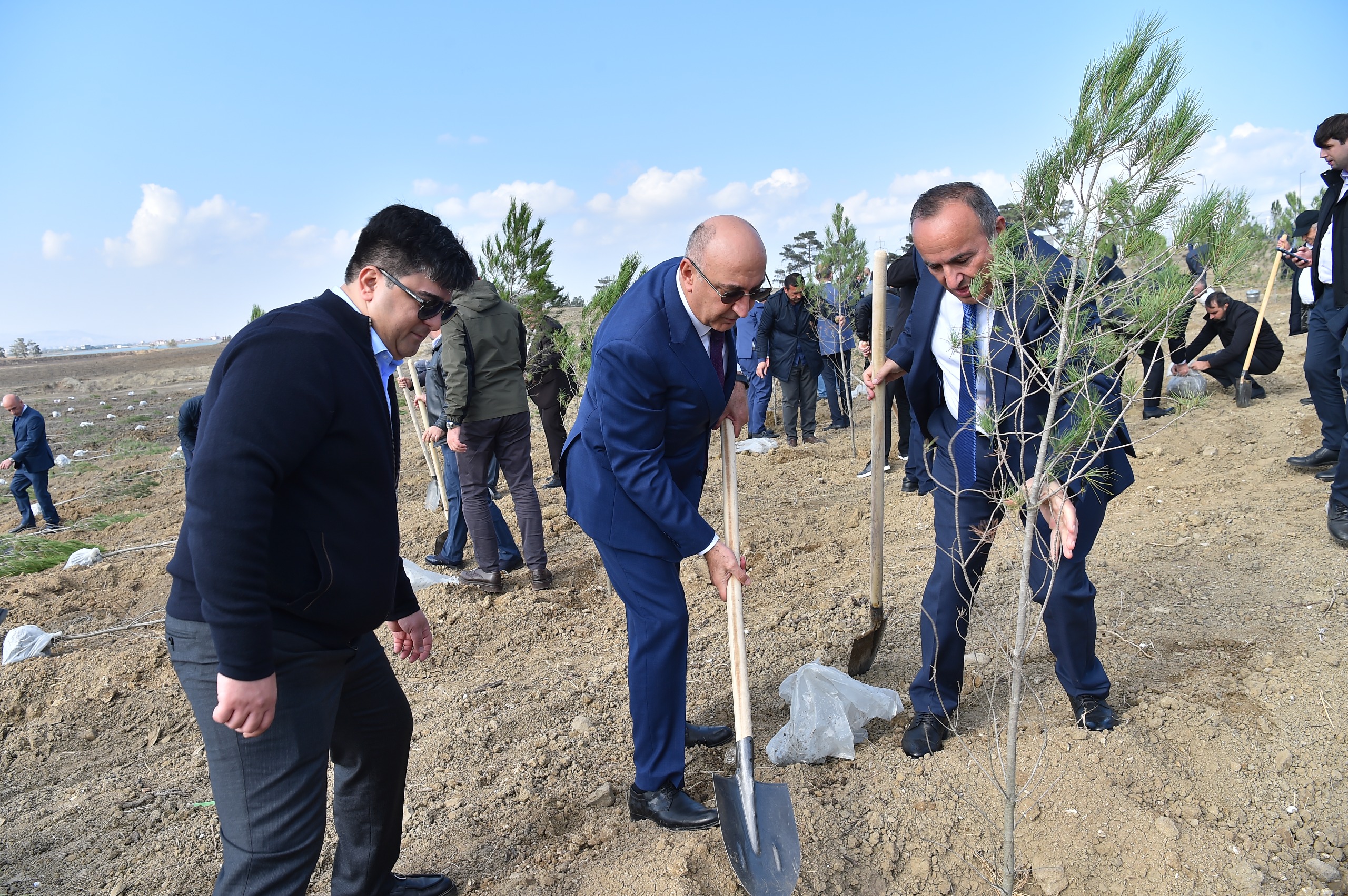 ADSEA Zəfər Günü münasibətilə ağacəkmə aksiyası təşkil etdi (FOTO)