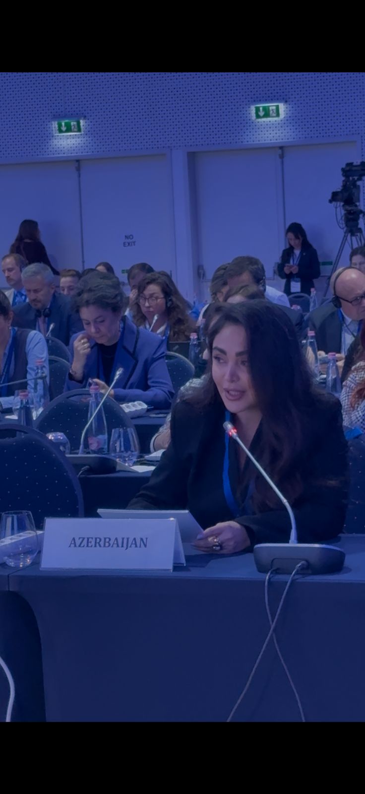 ADSEA rəsmisi Budapeştdə tədbirdə çıxış etdi (FOTO)