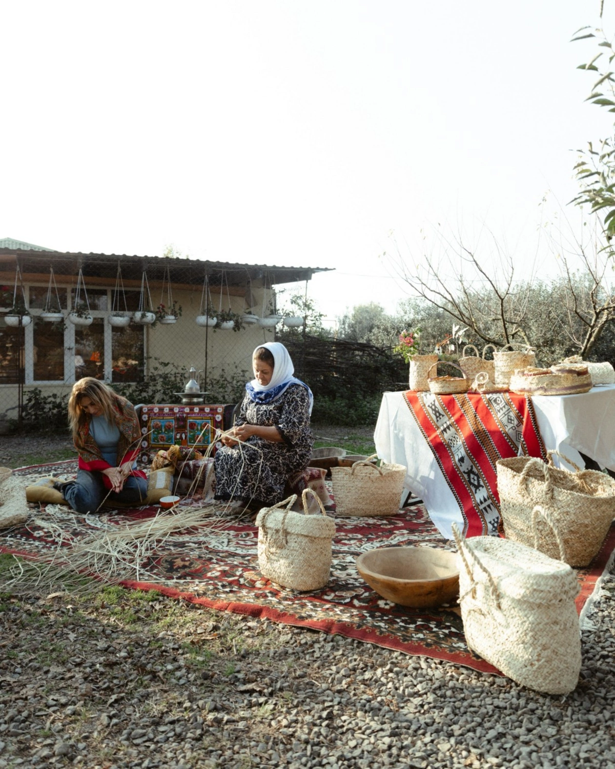 Leyla Əliyeva, Arzu Əliyeva və Alena Əliyeva Lənkəranda fermer təsərrüfatı ilə tanış oldu (FOTO)