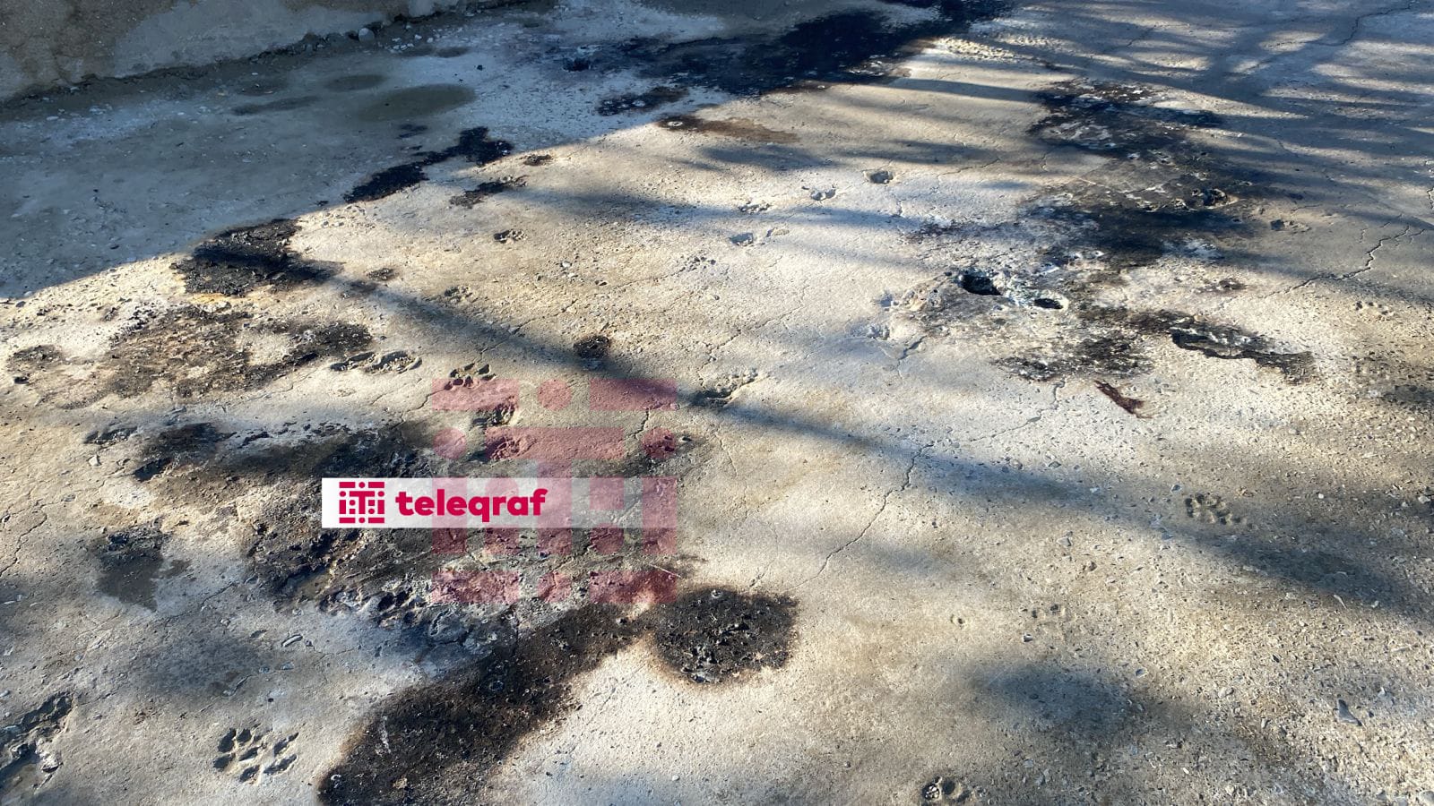 Dəmir pilləkəni aparan zaman ölüblər - 