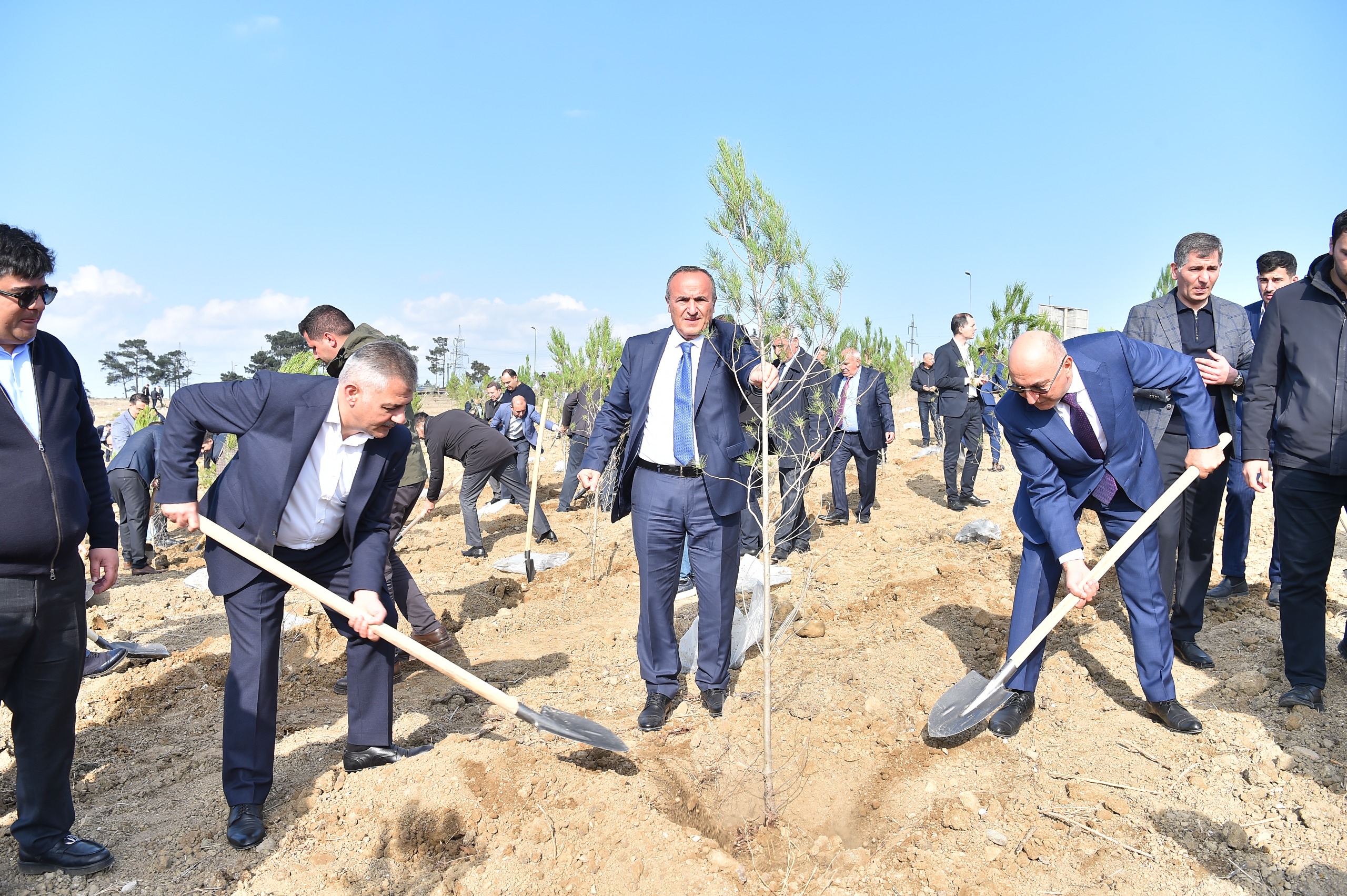 ADSEA Zəfər Günü münasibətilə ağacəkmə aksiyası təşkil etdi (FOTO)