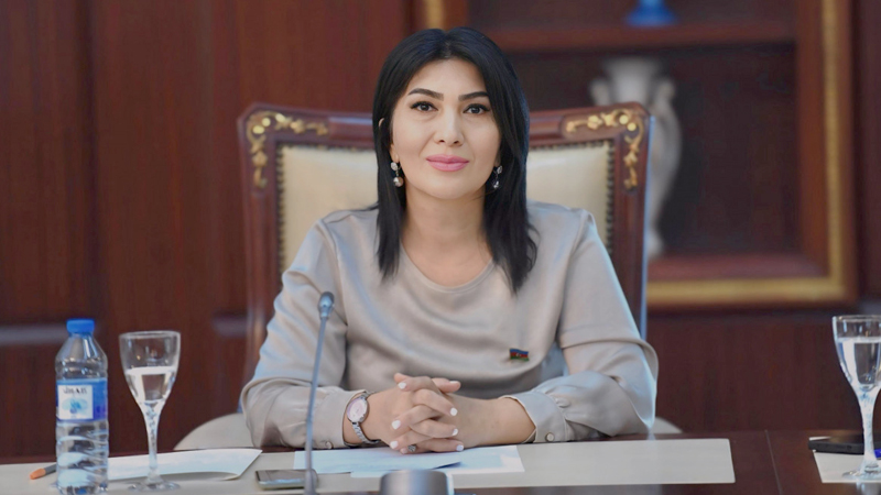 Deputat Elnarə Akimova plenar iclasda təkliflərlə çıxış etdi