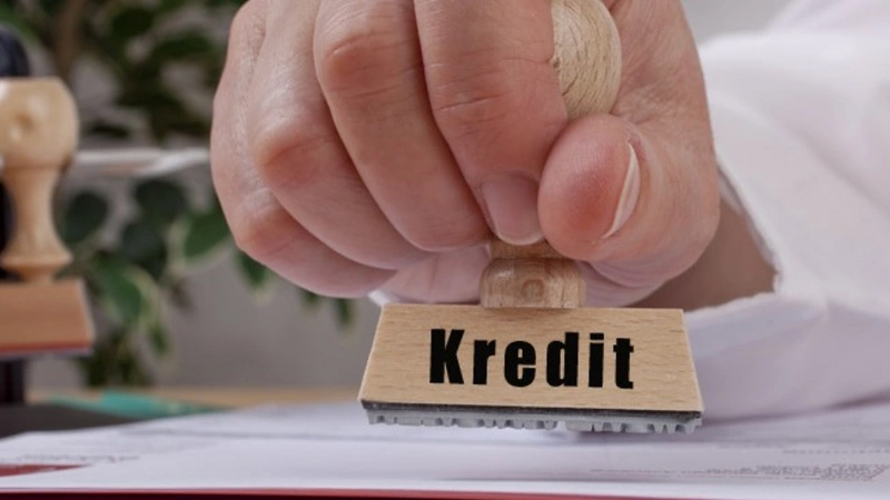 Hansı sahələrə güzəştli kreditlər daha çox verilir?