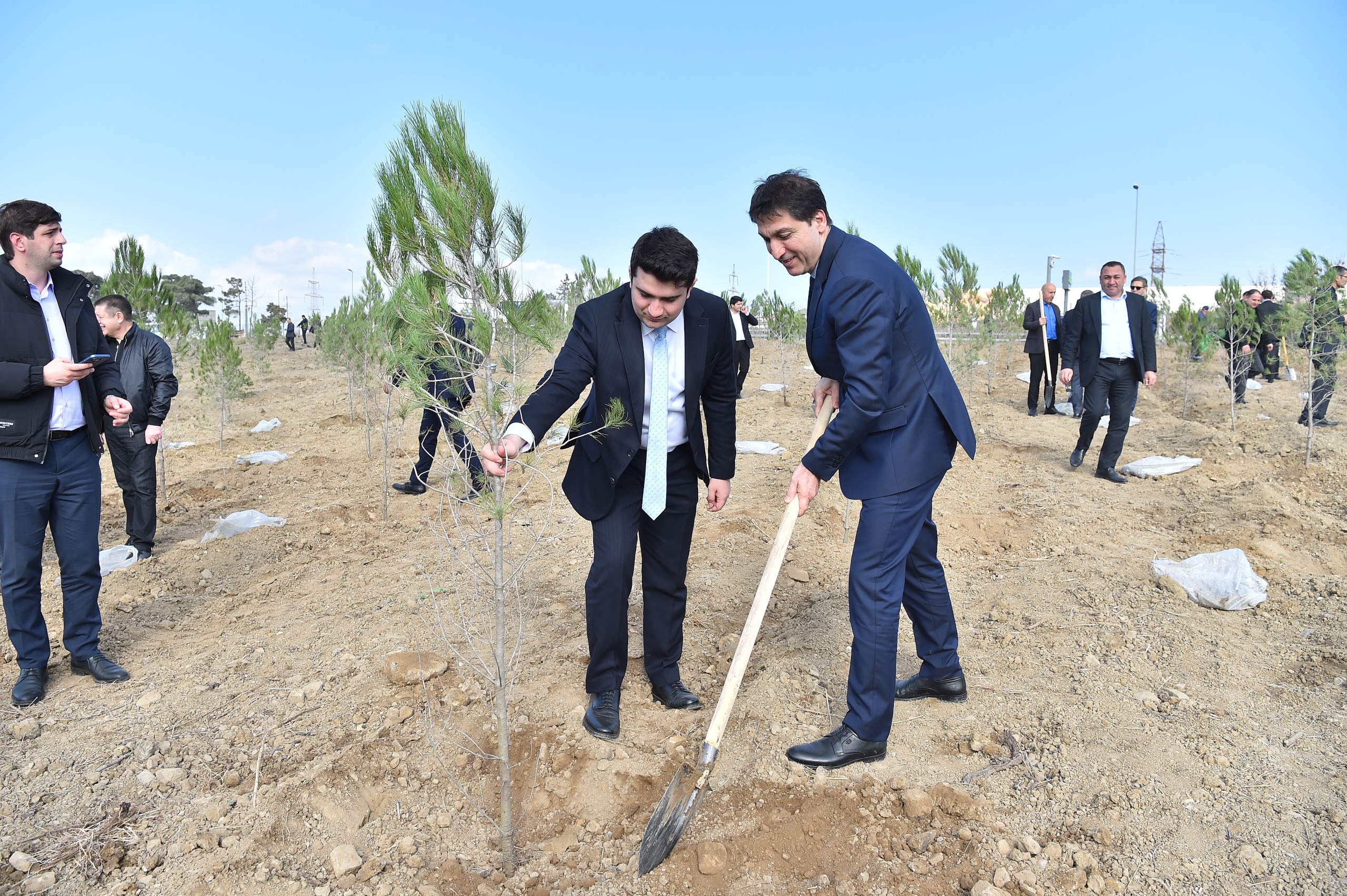 ADSEA Zəfər Günü münasibətilə ağacəkmə aksiyası təşkil etdi (FOTO)