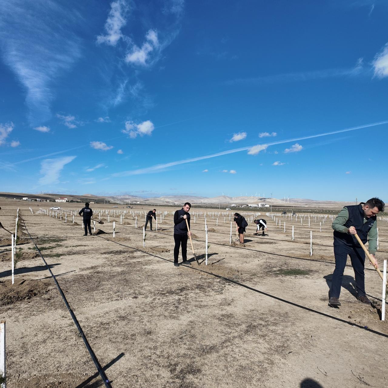 FHN Zəfər Gününə həsr olunmuş ağacəkmə aksiyası keçirdi (FOTO)