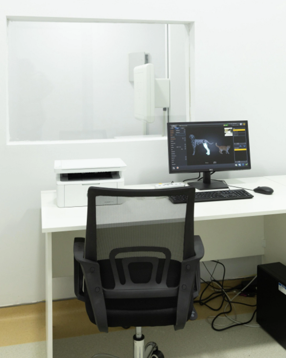 Leyla Əliyeva və Alena Əliyeva LDU-nun nəzdində yaradılmış Baytarlıq Klinikası ilə tanış oldu (FOTO)