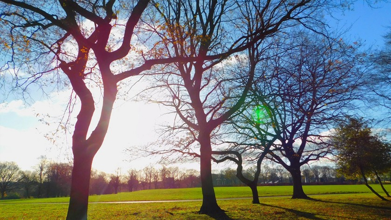 Dekabrda hava necə olacaq? - Aylıq proqnoz