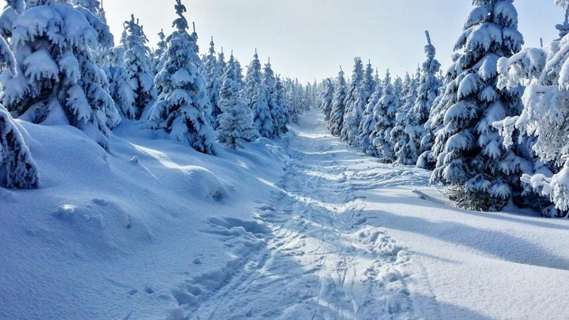 Qışda dünyanın ən yumşaq qarını haradan tapmaq olar?