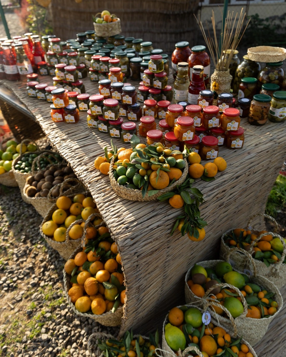 Leyla Əliyeva, Arzu Əliyeva və Alena Əliyeva Lənkəranda fermer təsərrüfatı ilə tanış oldu (FOTO)