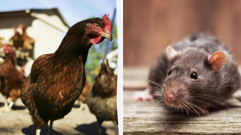 1975-ci ildən bu günə: İnanılması çətin olan 5 xəbər başlığı