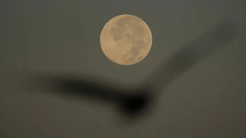 2019-cu ildən bəri ilk dəfə - Yerə ən yaxın 