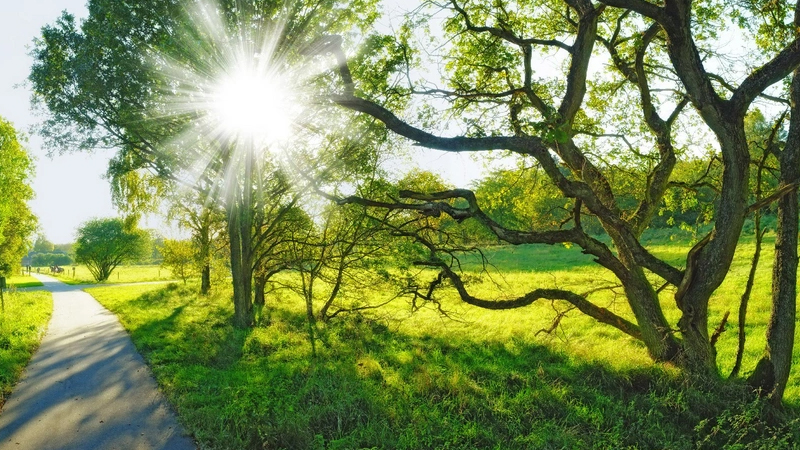 Sabah 24 dərəcə isti olacaq