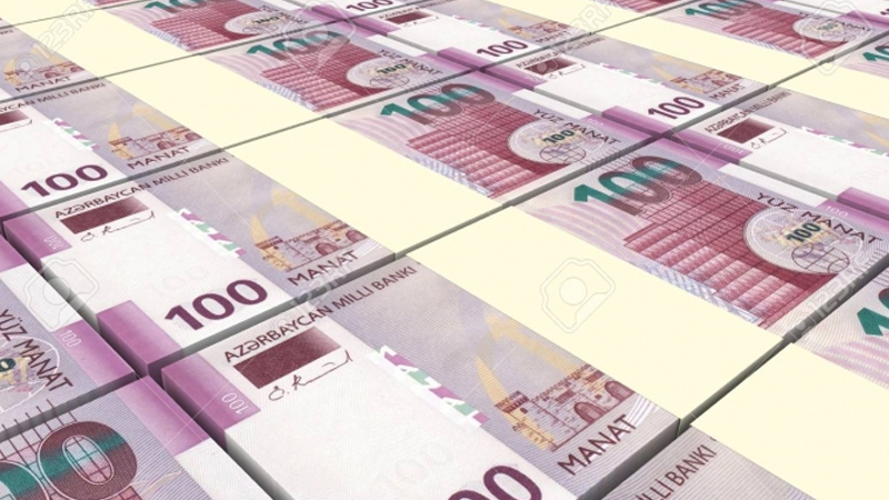 Deputat: Manatın məzənnəsi sabit qalsa da, alıcılıq qabiliyyəti sürətlə aşağı düşür