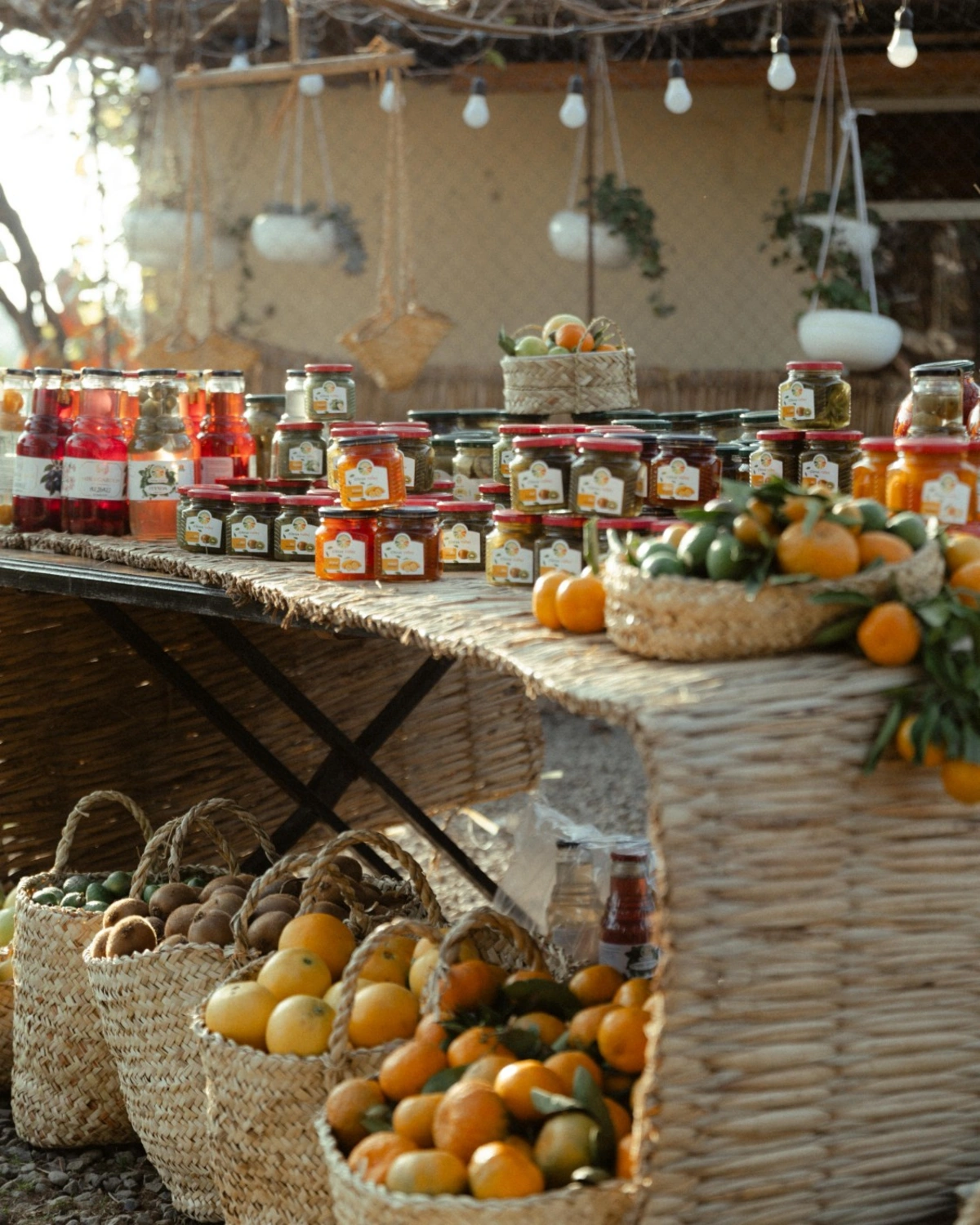 Leyla Əliyeva, Arzu Əliyeva və Alena Əliyeva Lənkəranda fermer təsərrüfatı ilə tanış oldu (FOTO)