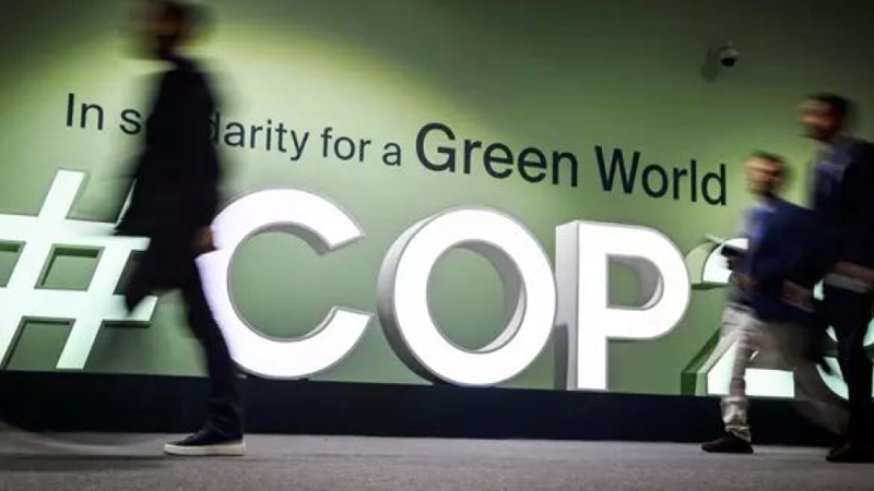 COP31-lə bağlı vacib sənədlərin razılaşdırılması Azərbaycana həvalə olundu