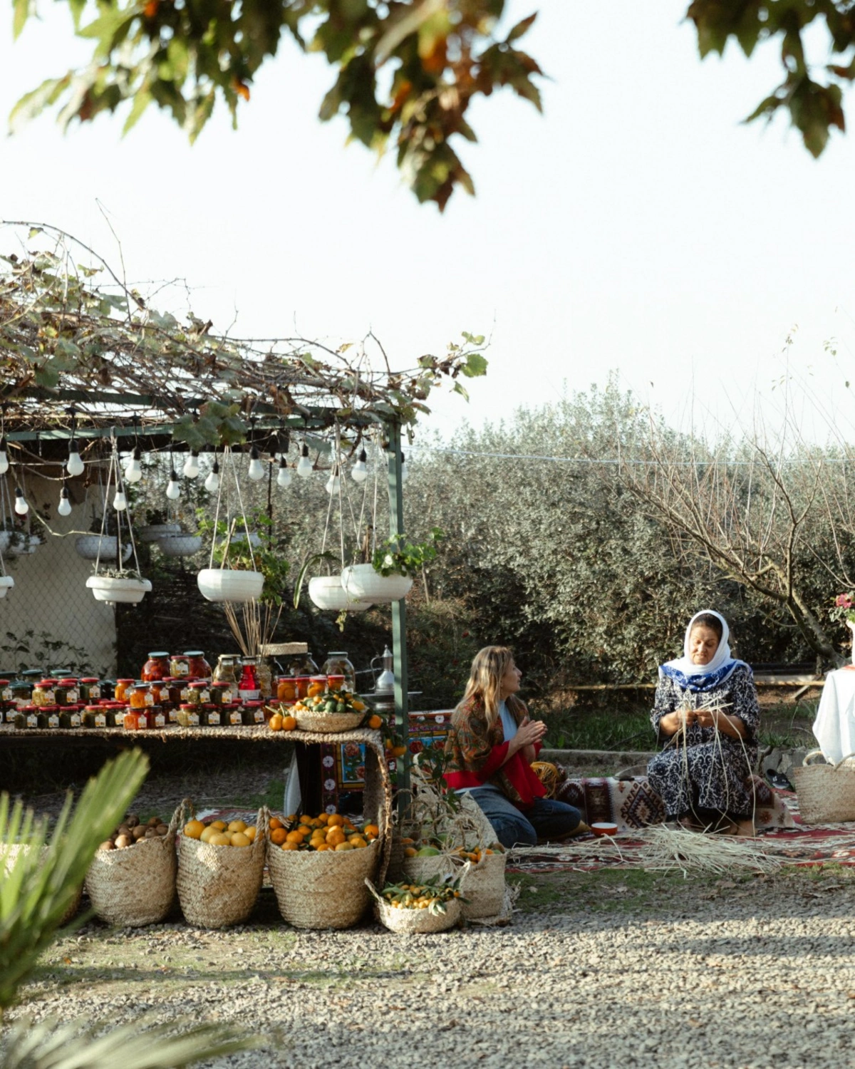 Leyla Əliyeva, Arzu Əliyeva və Alena Əliyeva Lənkəranda fermer təsərrüfatı ilə tanış oldu (FOTO)
