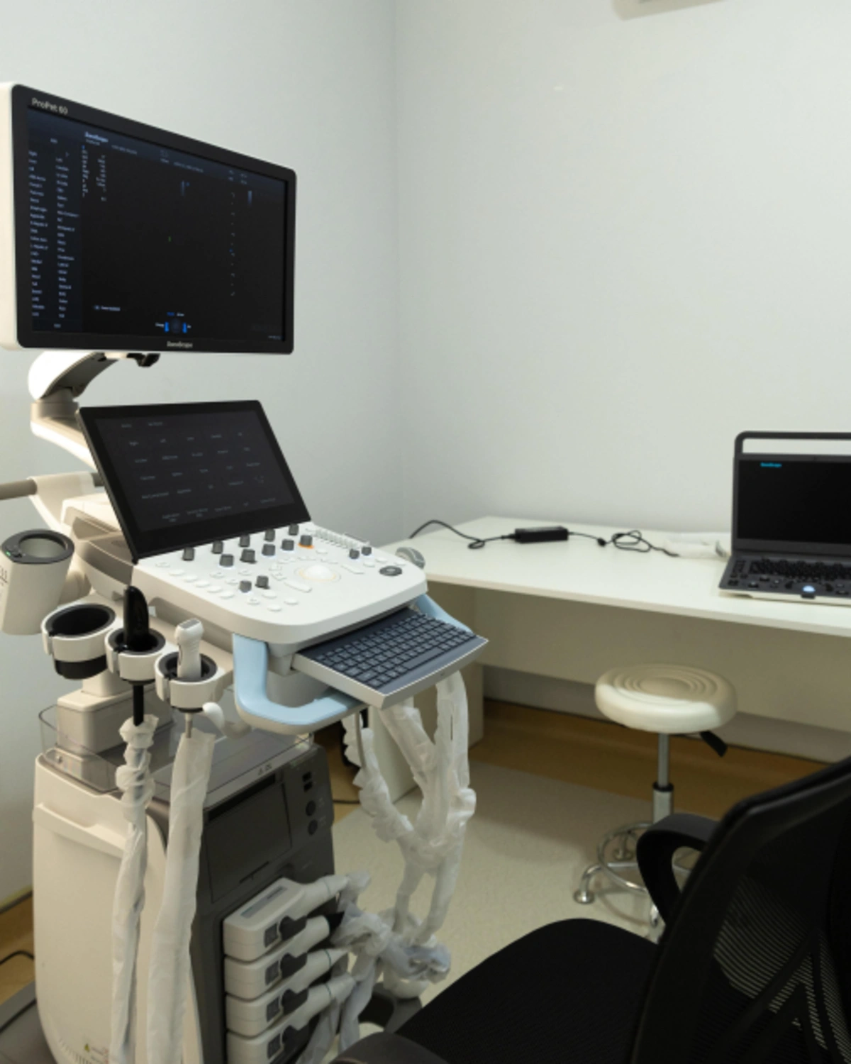 Leyla Əliyeva və Alena Əliyeva LDU-nun nəzdində yaradılmış Baytarlıq Klinikası ilə tanış oldu (FOTO)