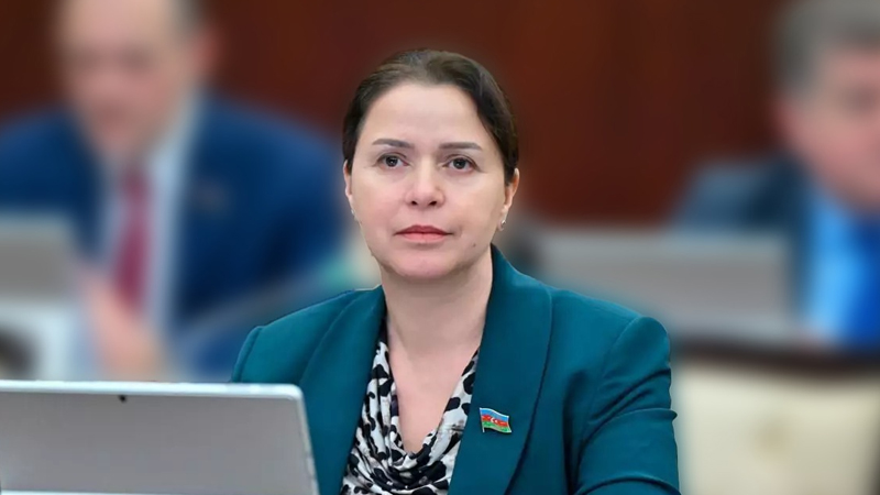 Deputatdan Gədəbəylə bağlı hökumətə çağırış