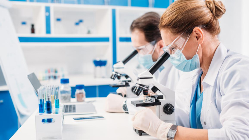 Dünyada ilk hansı heyvan peyda olub?