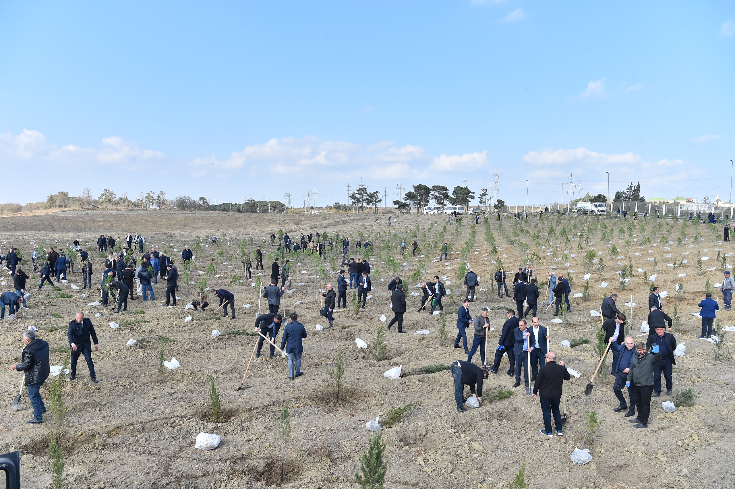 ADSEA Zəfər Günü münasibətilə ağacəkmə aksiyası təşkil etdi (FOTO)