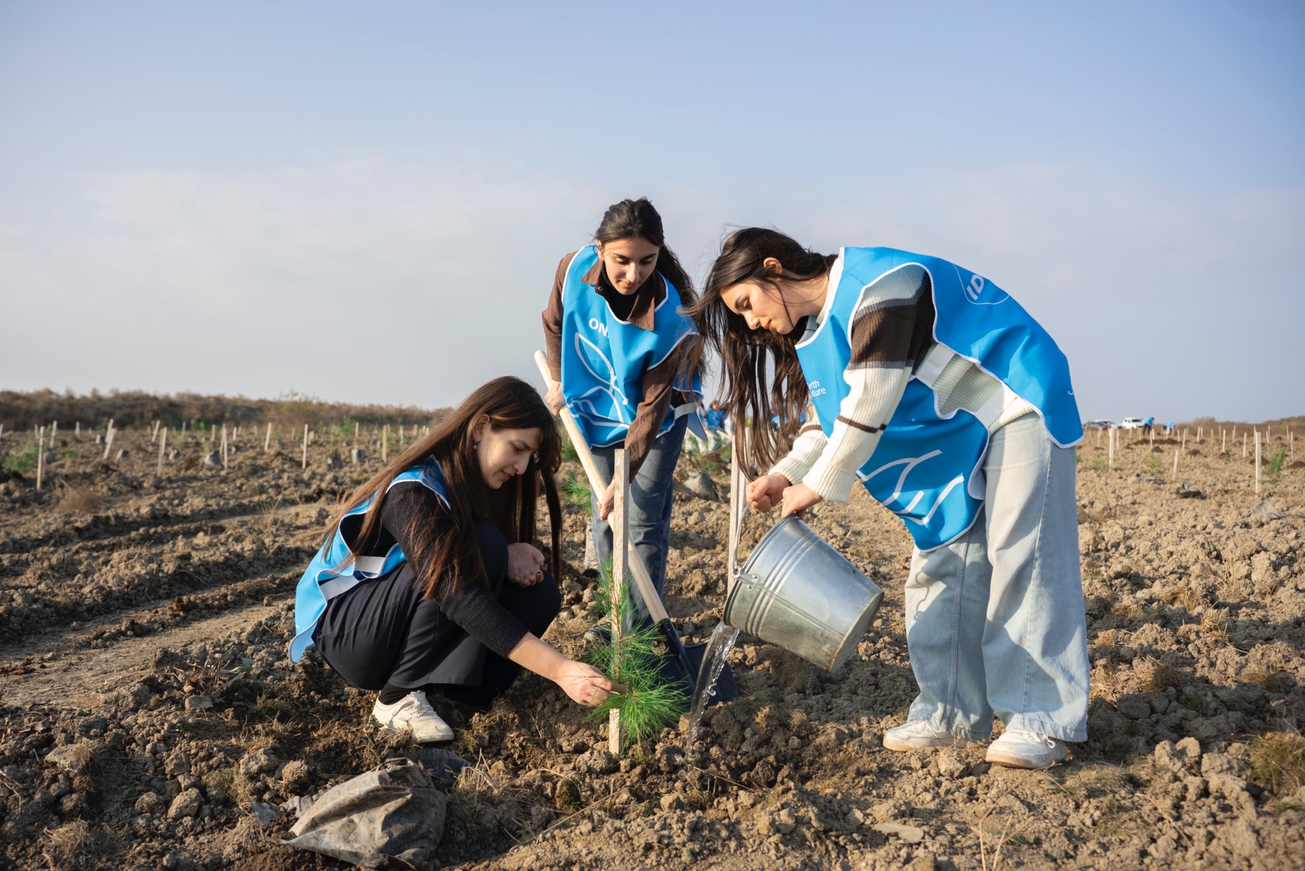 IDEA Xaçmaz və Şabranda növbəti ağacəkmə aksiyaları təşkil etdi