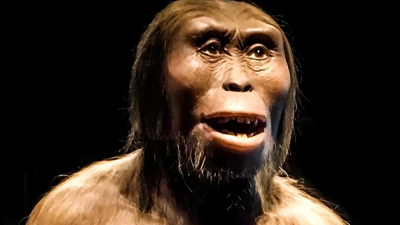 Tarixi dəyişdirən kəşf: İnsanlığın 