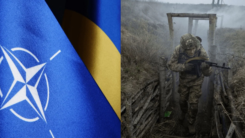 Ukrayna təhlükəsizlik zəmanətləri müqabilində NATO-ya üzvlükdən imtina edə bilər