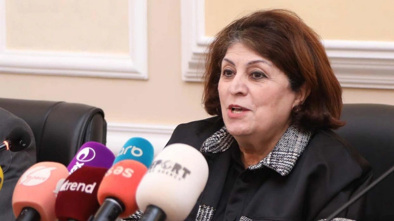 Əfv fərmanının verilməsini xahiş edəcəyik - Səadət Bənənyarlı