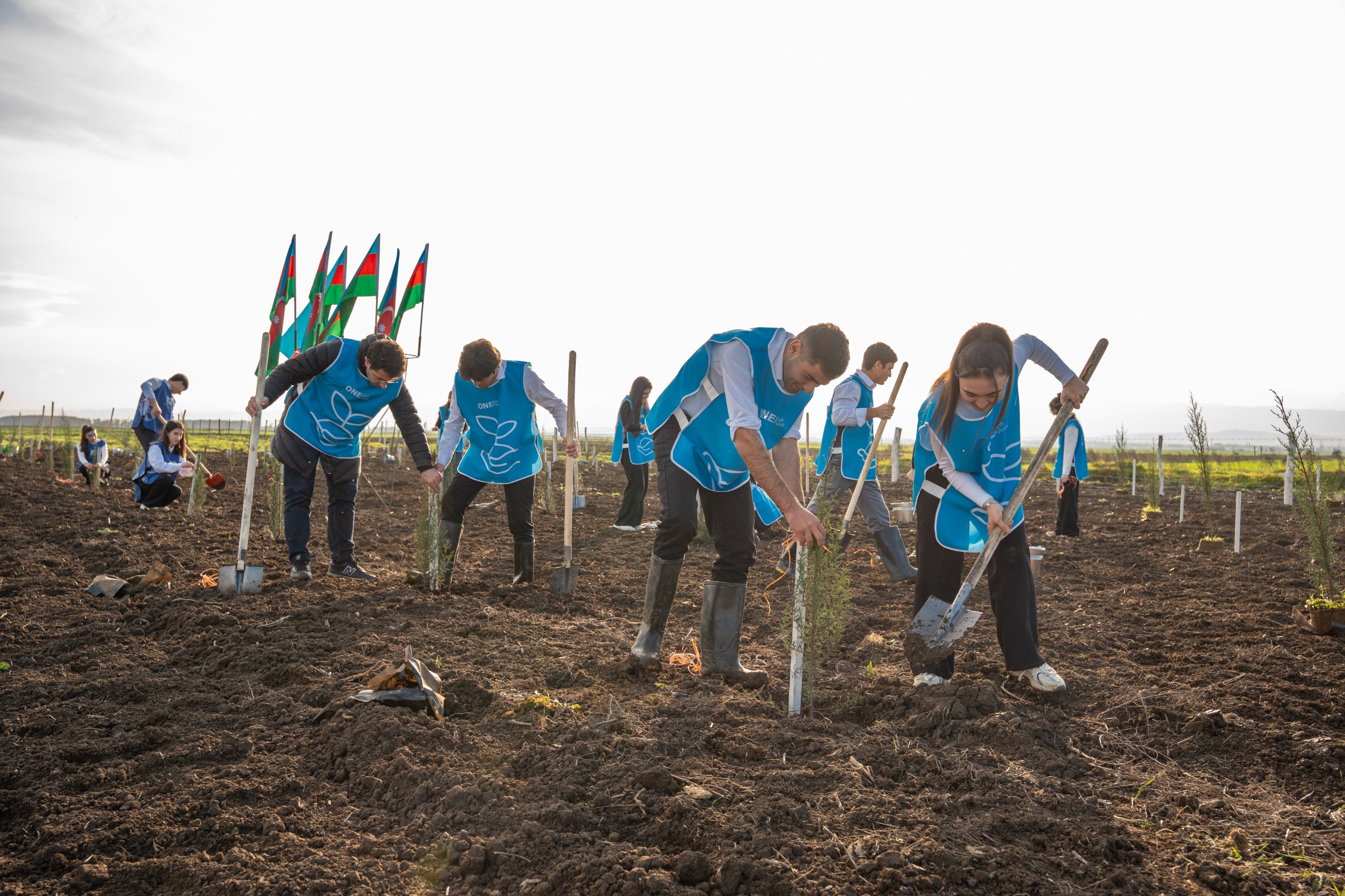 IDEA Sabirabad və Cəlilabad rayonlarında kütləvi ağacəkmə aksiyaları təşkil etdi (FOTO)