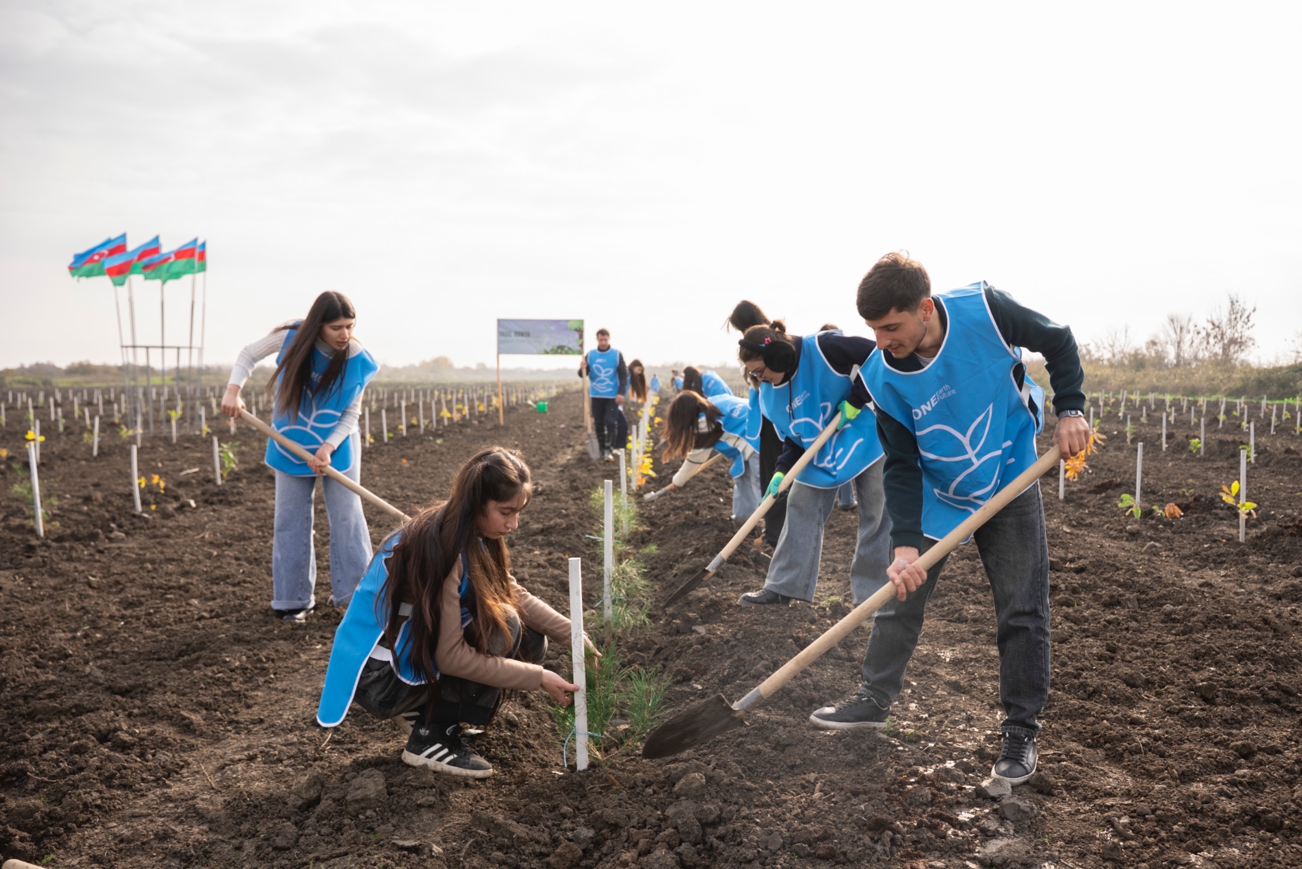 IDEA Xaçmaz və Şabranda növbəti ağacəkmə aksiyaları təşkil etdi