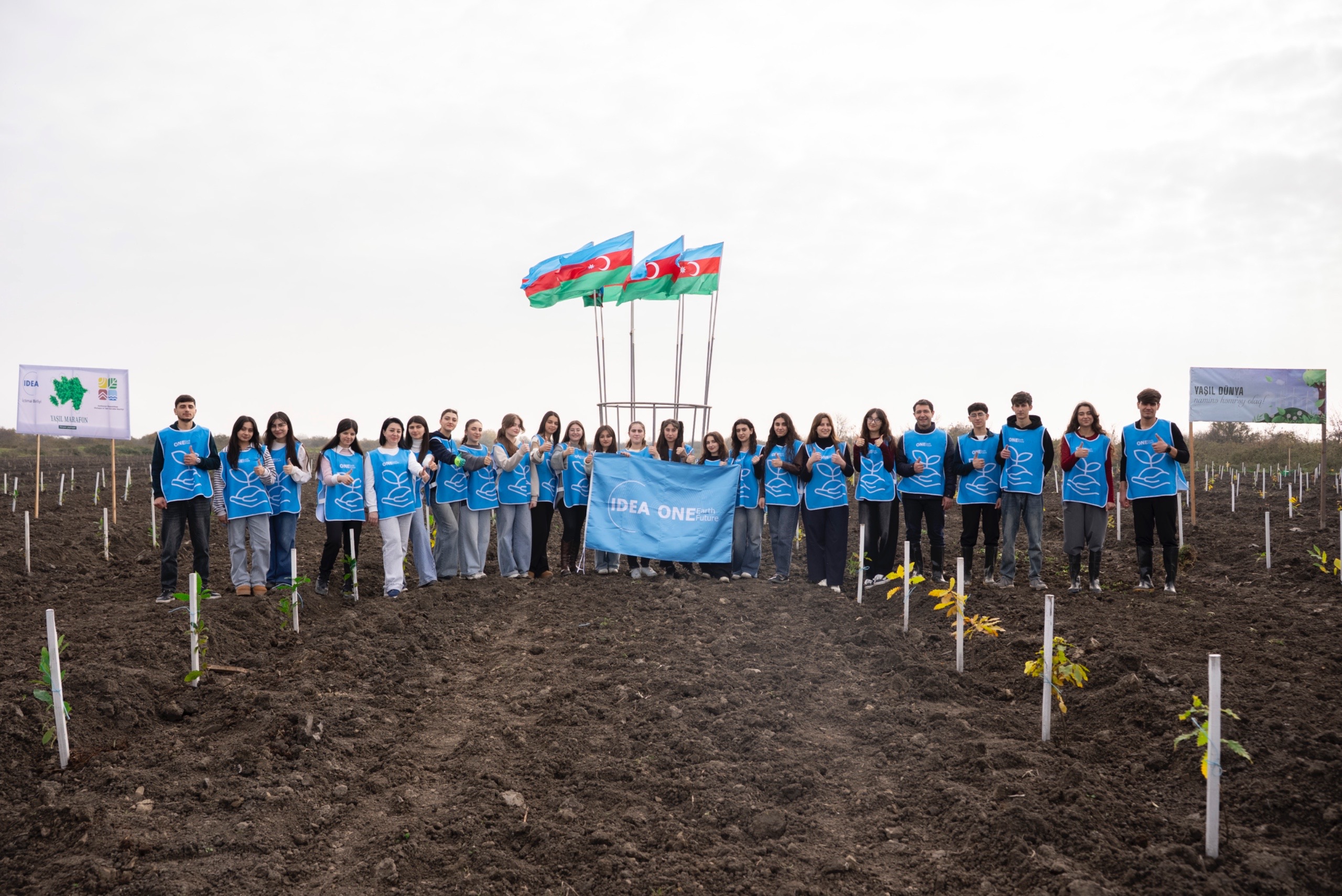 IDEA Xaçmaz və Şabranda növbəti ağacəkmə aksiyaları təşkil etdi