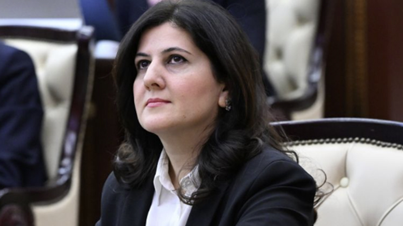 Prezidentin yüksək vəzifə verdiyi Aida Hüseyn kimdir? (DOSYE)