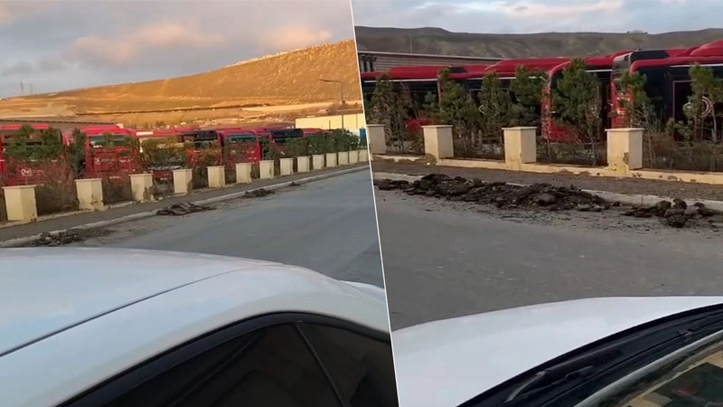 Bakıda illərdir istifadəsiz qalan avtobuslar (VİDEO)