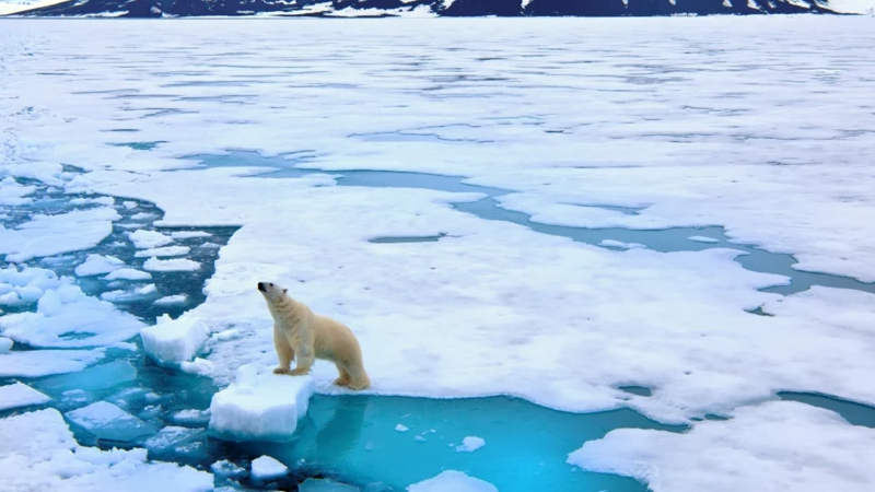Alimlər xəbərdarlıq edir: Arktika Yer kürəsindən iki dəfə sürətlə isinır