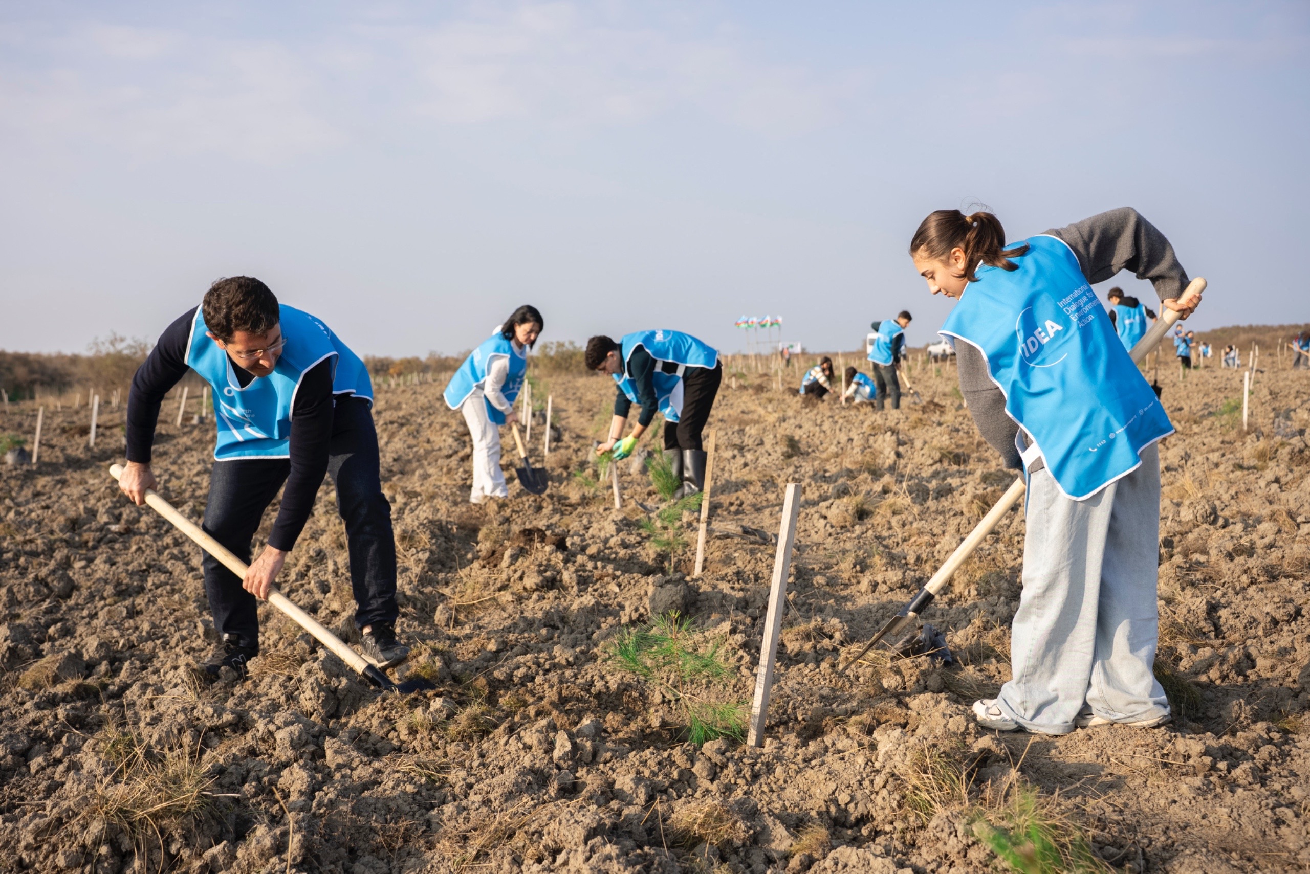 IDEA Xaçmaz və Şabranda növbəti ağacəkmə aksiyaları təşkil etdi