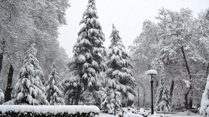 Sabah rayonlara qar yağacaq