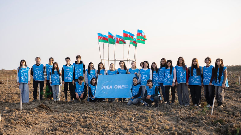 IDEA Xaçmaz və Şabranda növbəti ağacəkmə aksiyaları təşkil etdi