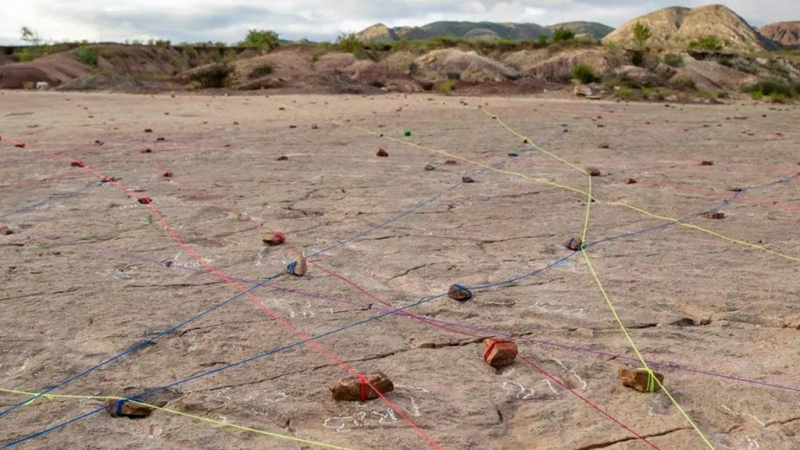 Yeni rekord: Qədim sahil boyunca 18 min dinozavr izi aşkar edilib