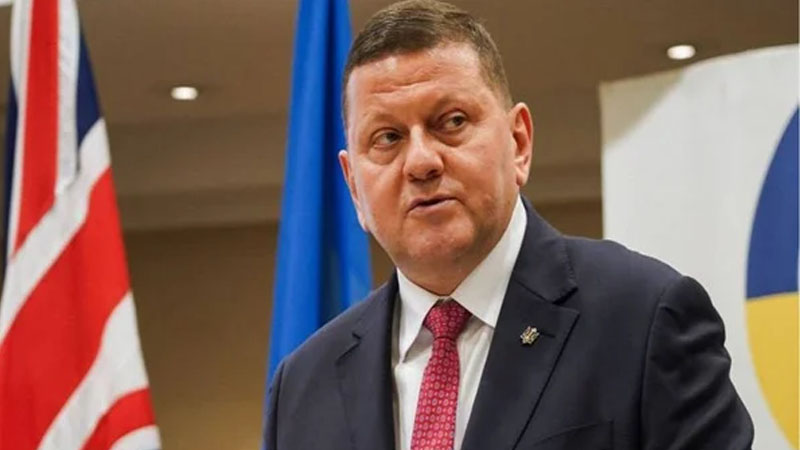 Zalujnı Britaniyadakı səfir vəzifəsindən getməyə hazırlaşır – Media