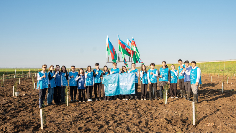 IDEA Sabirabad və Cəlilabad rayonlarında kütləvi ağacəkmə aksiyaları təşkil etdi (FOTO)