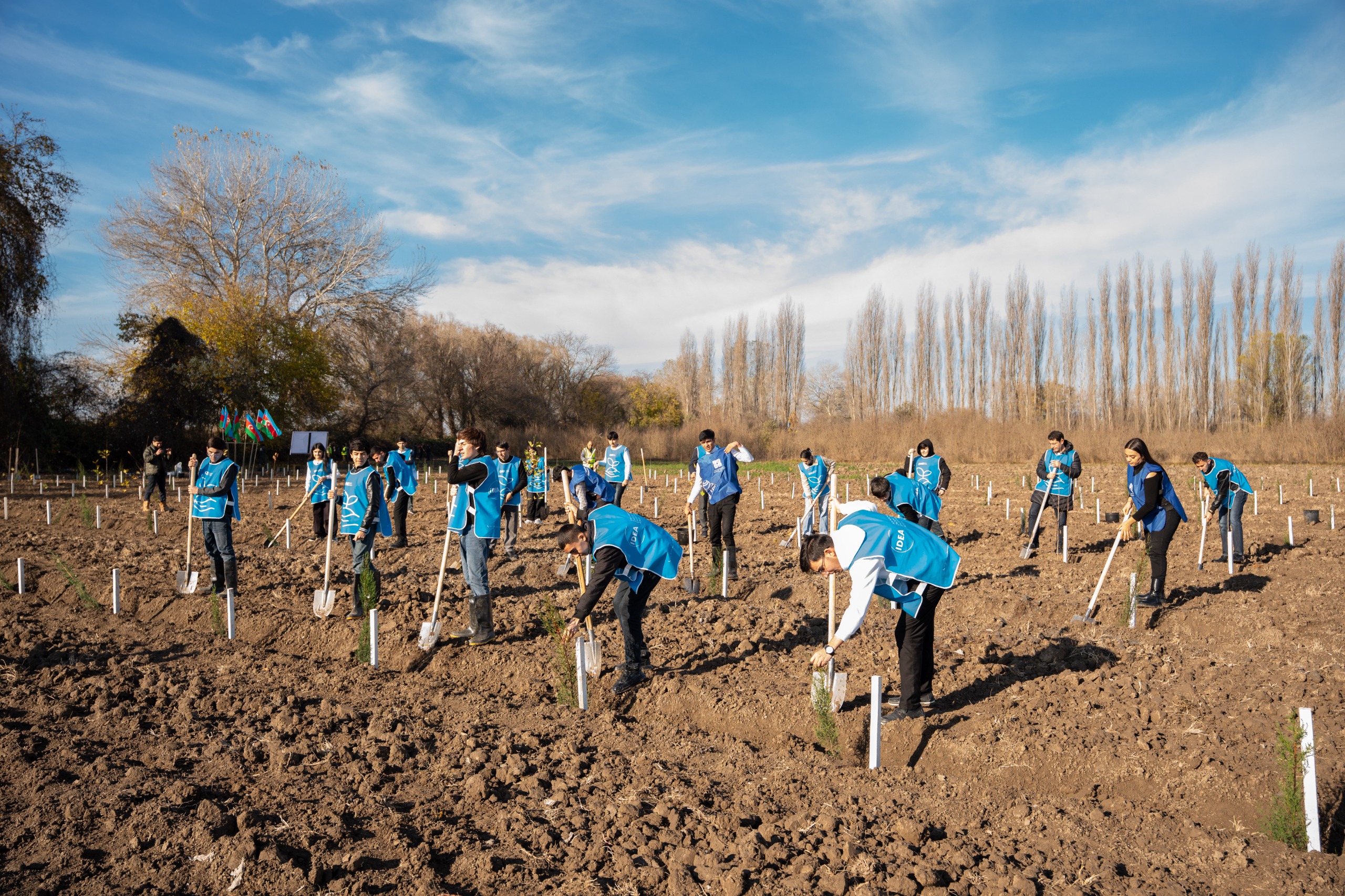 IDEA Sabirabad və Cəlilabad rayonlarında kütləvi ağacəkmə aksiyaları təşkil etdi (FOTO)