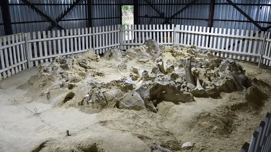 Mamont sümüklərindən evlər: İnsanın dondurucu soyuqla sınağı