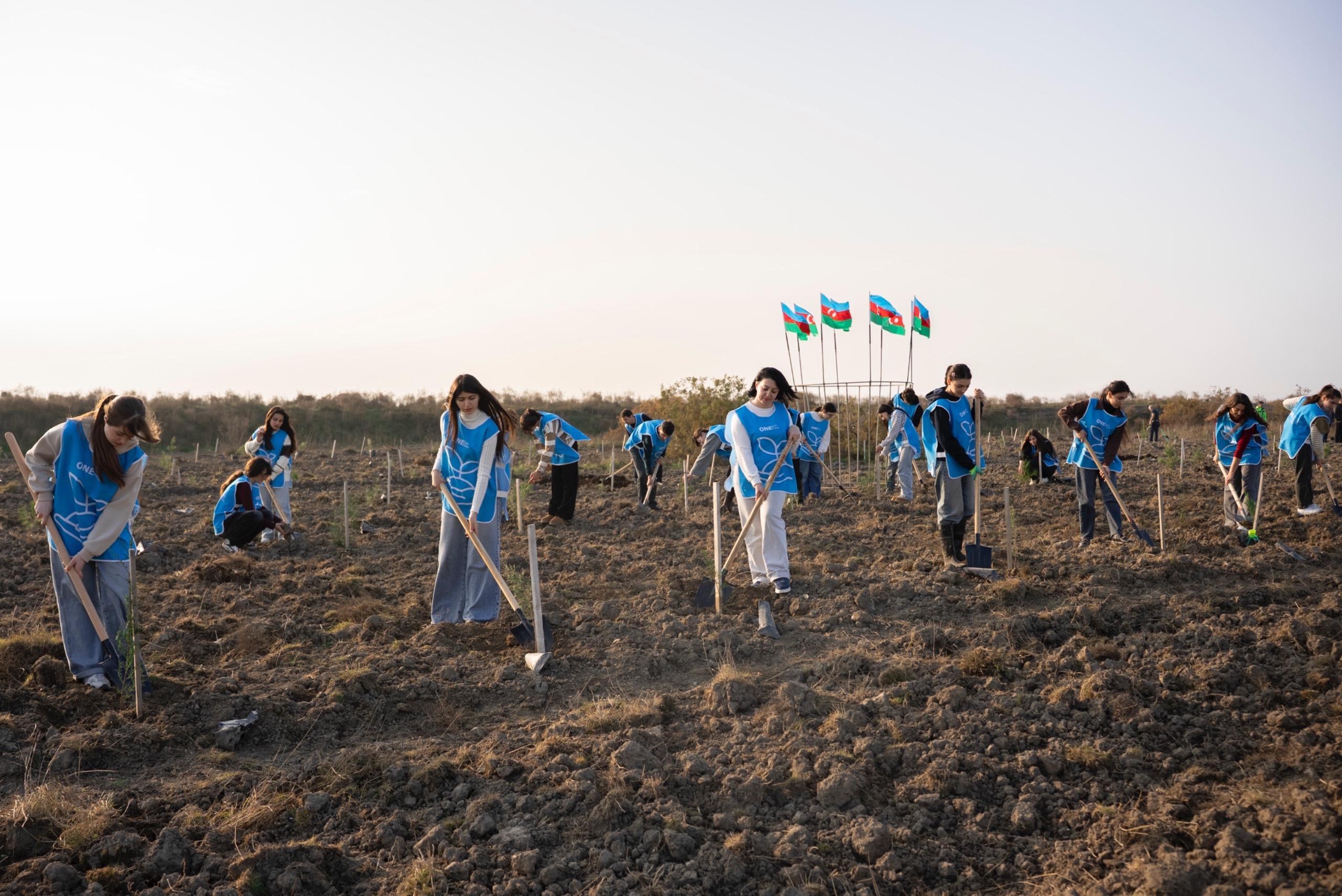 IDEA Xaçmaz və Şabranda növbəti ağacəkmə aksiyaları təşkil etdi