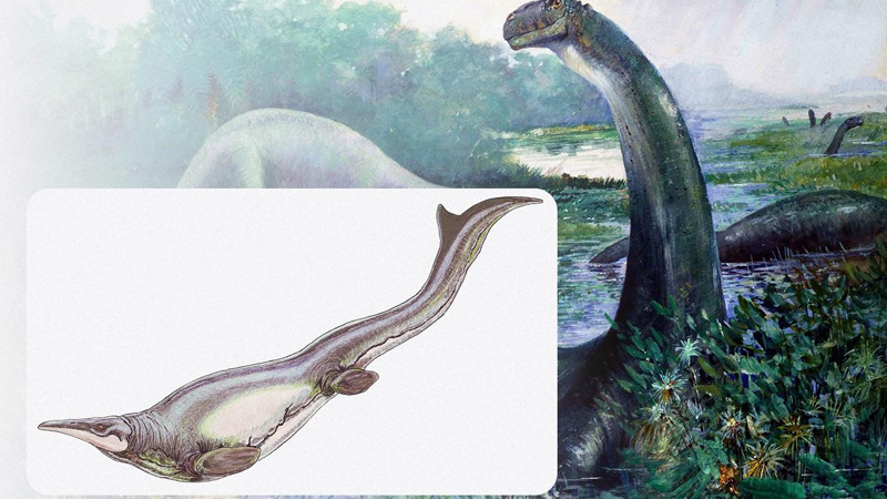 Milyonlarla il əvvəl dünyada dinozavrları yeyən dəniz sürünəni yaşayıb