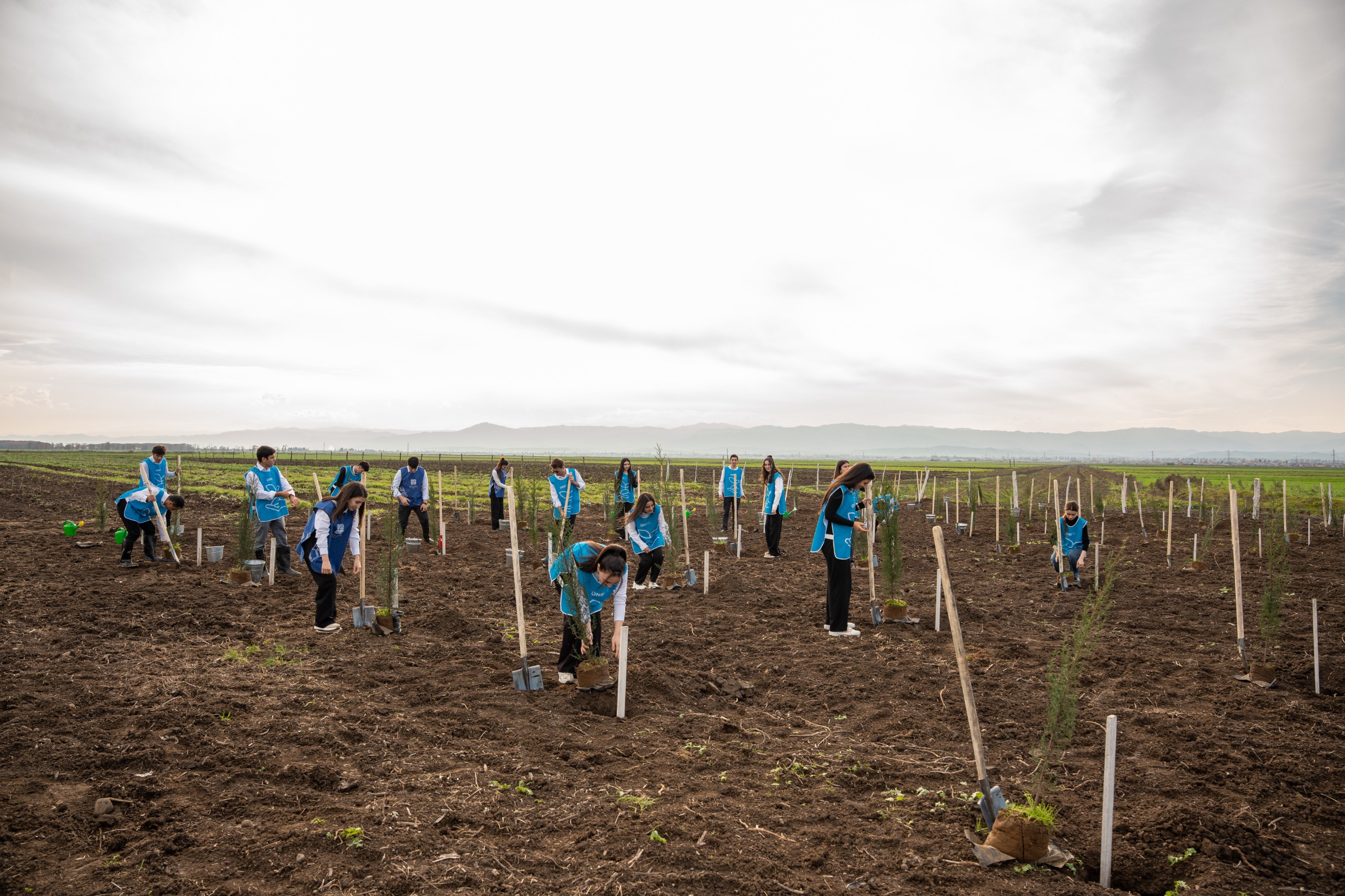 IDEA Sabirabad və Cəlilabad rayonlarında kütləvi ağacəkmə aksiyaları təşkil etdi (FOTO)