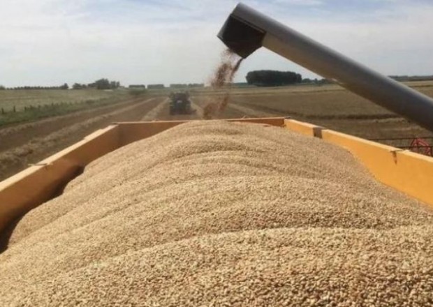 Rusiya Azərbaycanın sayəsində Ermənistana buğda ixracını iki dəfə artırdı