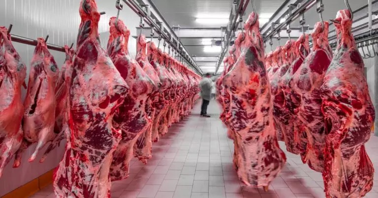 Azərbaycanda bu ölkələrdən gətirilən ətlər satılır (SİYAHI)