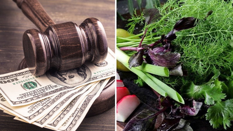 Azərbaycanda şirkət 